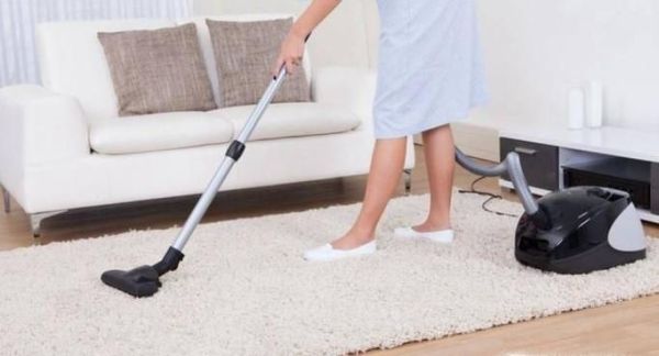 屋里有黑色小飞虫怎么办？