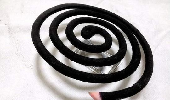 屋里有黑色小飞虫怎么办？