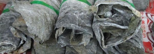 海带发霉了还能吃吗