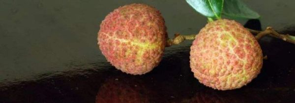 荔枝皮发黑了还能吃吗