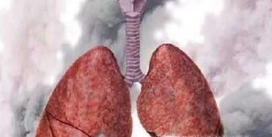 人体五脏有五怕