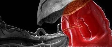 人体五脏有五怕