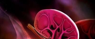 人体五脏有五怕