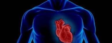 人体五脏有五怕