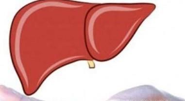 人体五脏有五怕