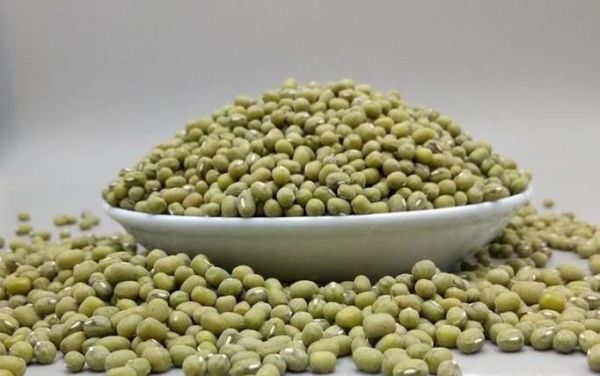 毛绿豆和明绿豆有什么区别