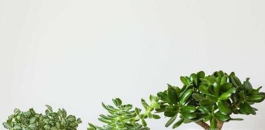 去除空调屋里干燥的小秘诀