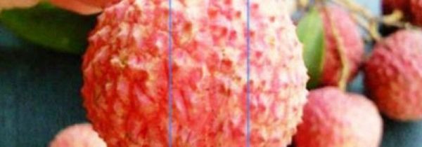 荔枝怎么快速去核