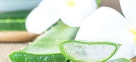 家里刷漆刷涂料后多长时间可以住人