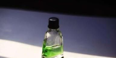 被黄蜂叮咬后怎么处理？