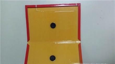 不小心被粘鼠板粘住，如何弄下来