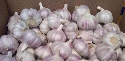 大米为什么会生虫及如何防虫