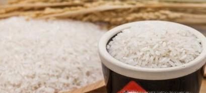 大米为什么会生虫及如何防虫