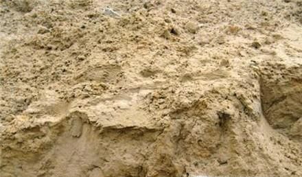 不小心被粘鼠板粘住，如何弄下来