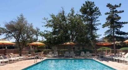 游泳池水对人有害吗