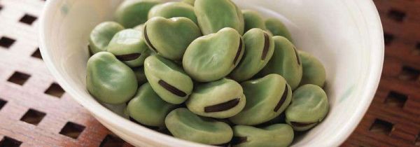 蚕豆放冰箱发芽能吃吗