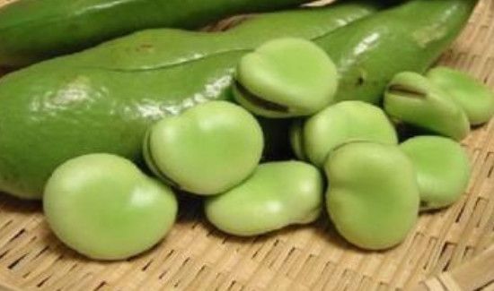 蚕豆放冰箱发芽能吃吗