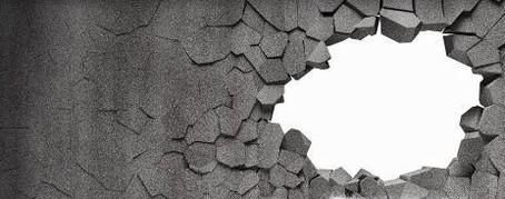 家里进老鼠了怎么办