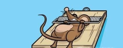 家里进老鼠了怎么办