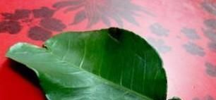 去除霉运的常用方法