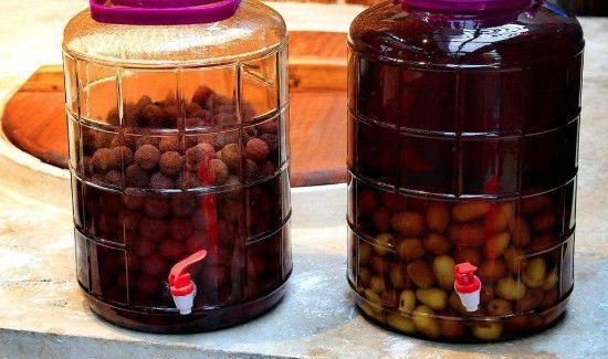 杨梅与枸杞能在一起泡酒吗