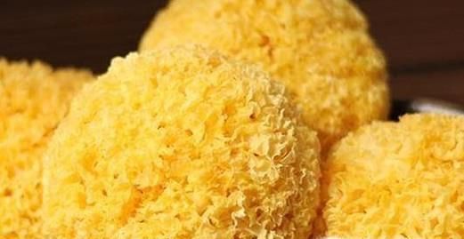 延缓衰老有什么饮食妙招？