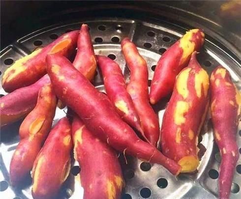 如何用红薯做钓饵