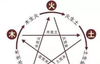 什么食物相克?