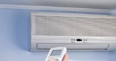 夏季仓鼠中暑四个急救方法