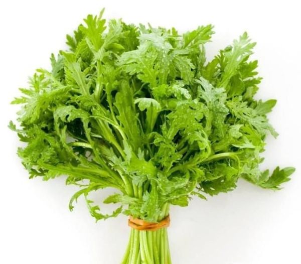日常新鲜蔬菜保鲜方法