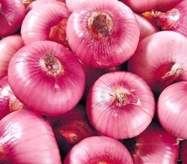 日常新鲜蔬菜保鲜方法