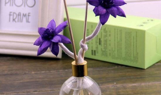 干花发霉还能要吗
