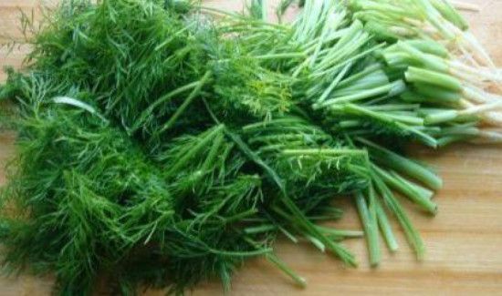 新鲜茴香菜的功效与作用