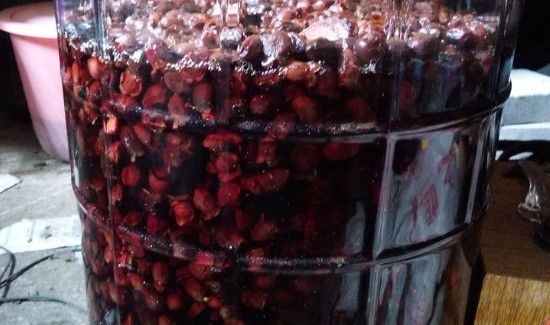 山念泡酒功效和作用