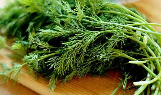 新鲜茴香菜的功效与作用