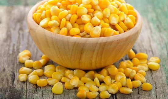 玉米代替主食会发胖吗