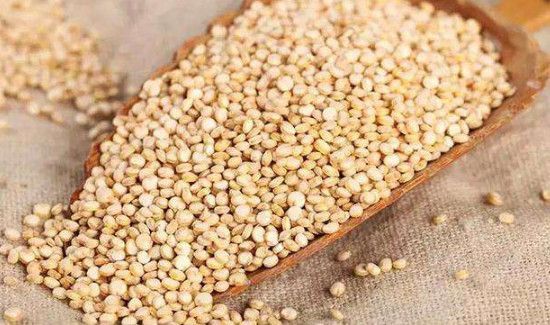 哪些人不适合吃藜麦