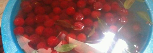 盐水泡杨梅虫子出来了还能吃吗