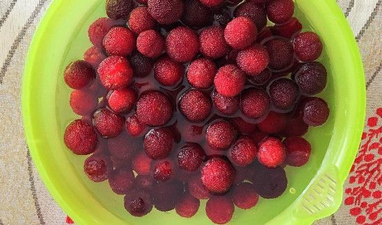 盐水泡杨梅虫子出来了还能吃吗