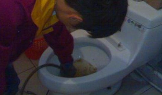 东西掉下水道用什么方法捞