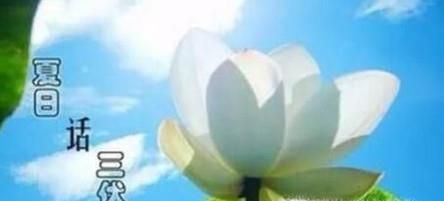 什么是三伏天？怎么计算？