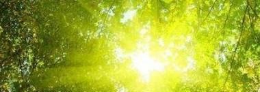 什么是三伏天？怎么计算？