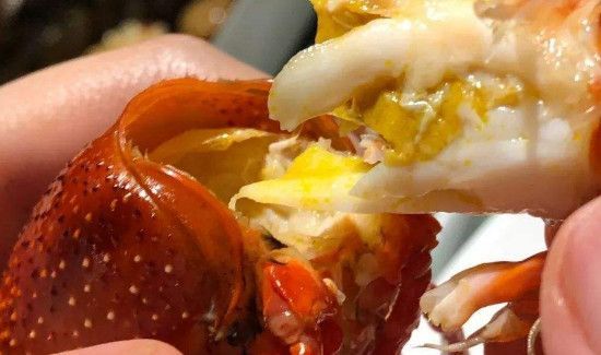 虾黄和屎的区别