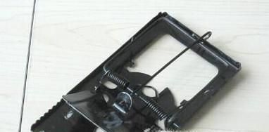 怎么逮老鼠 逮老鼠的妙招