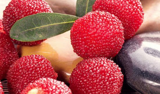 杨梅能放冰箱多久