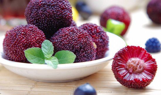 杨梅能放冰箱多久