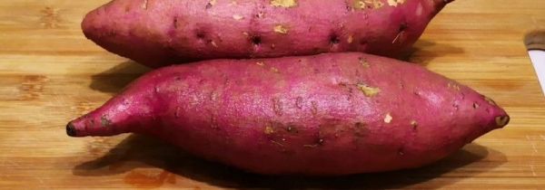 红薯的作用