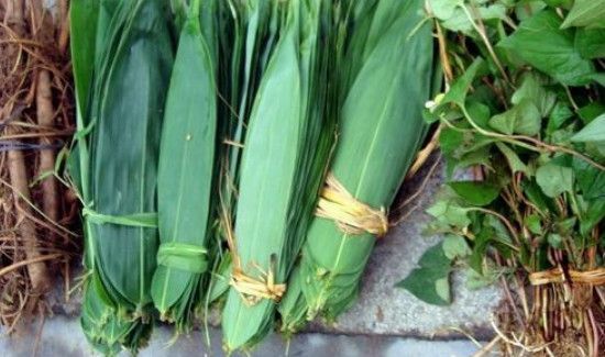 粽叶可以放冰箱冷冻吗