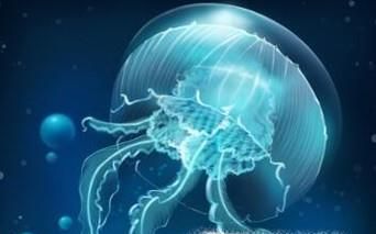 被水母蛰了怎么办