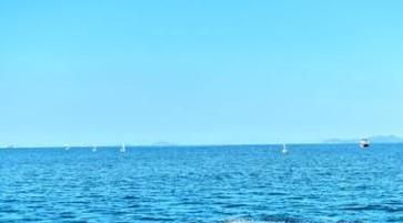 被水母蛰了怎么办